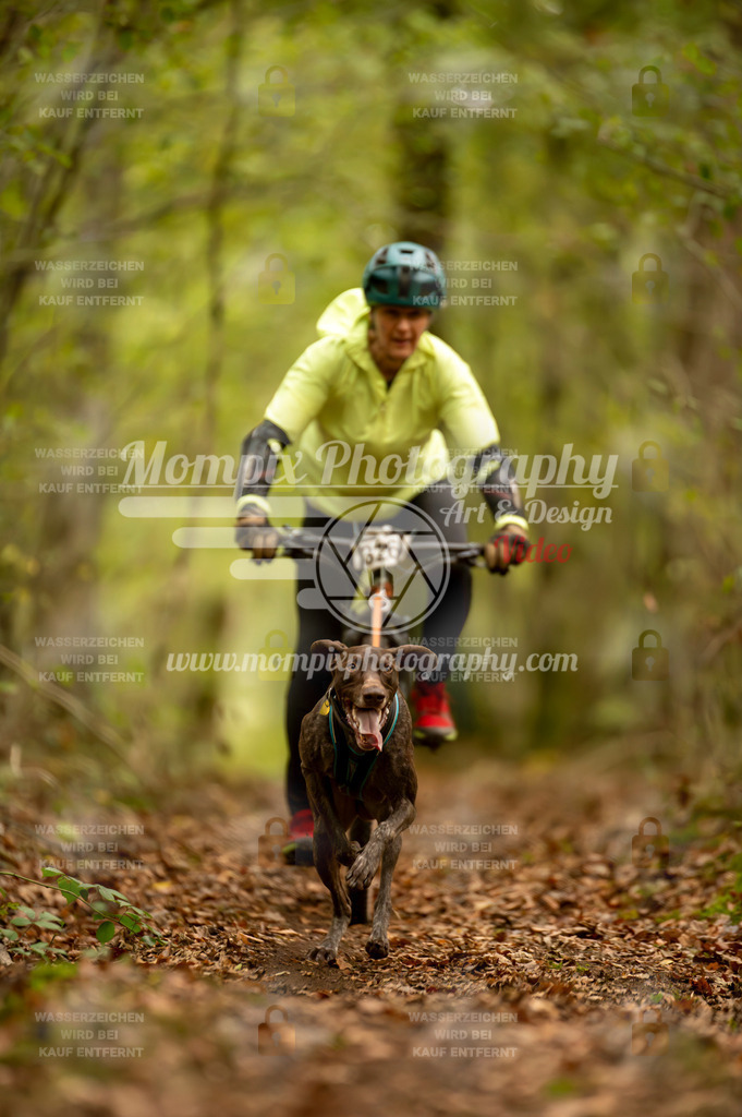 TSB_2023_E1_Bike-87 | PayLife