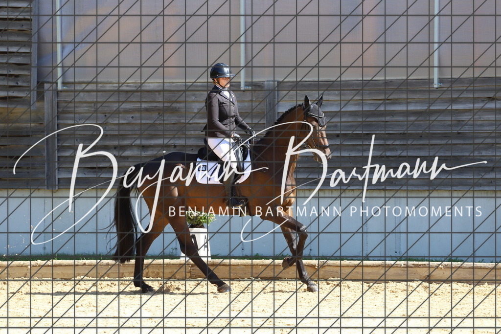 IMG_6031 | Benjamin Bartmann Photomoments