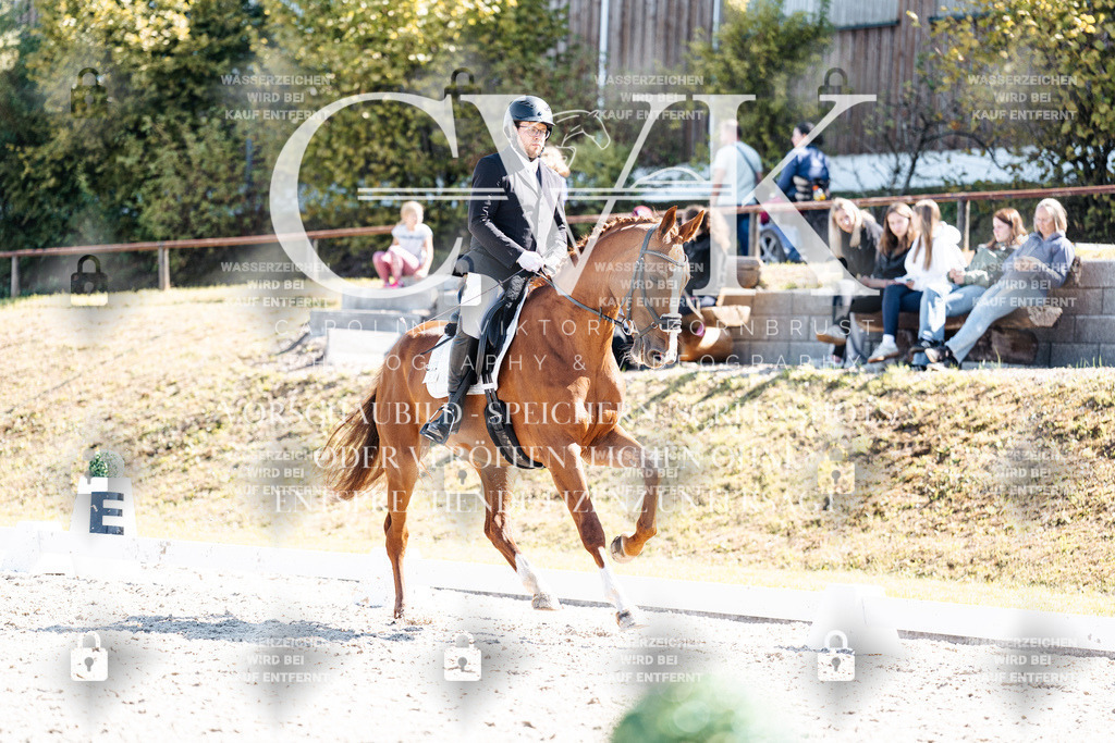 CK903339 | Turnierfotografie Pferdefotografie Trier Rheinland-Pfalz Pferdesport Reitsport Tierfotografie Sportfotografie Pferdevideo Pferdevideografie Equestrianvideography equestrianphotography  - Realisiert mit Pictrs.com