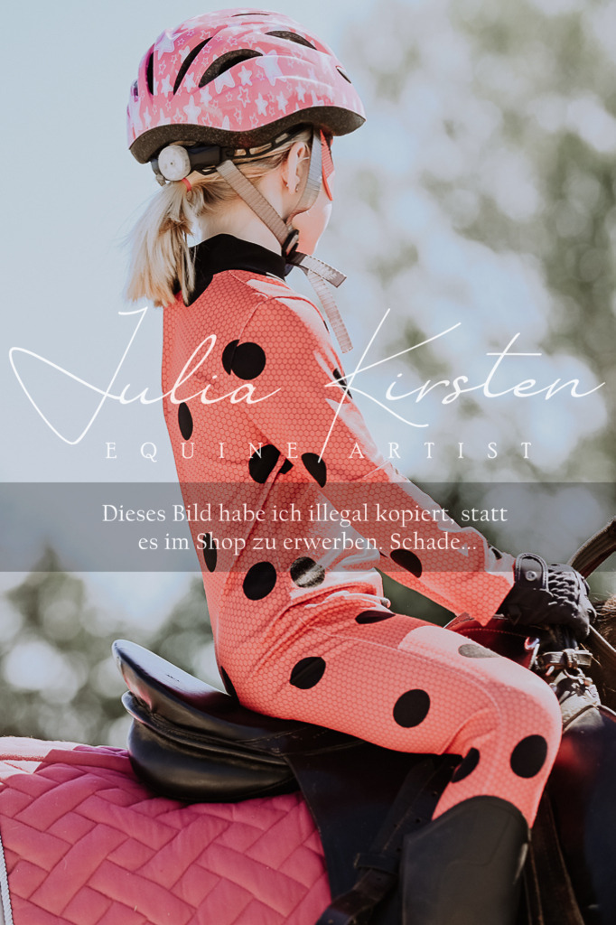DSC_8882 | Pferde- und Turnierfotografie in Westsachsen. Pferdeportraits, Auftragszeichnungen und intuitive Kunst.