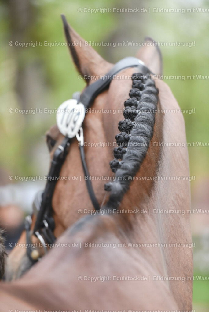 20230514_Impressionen_0175 | equistock