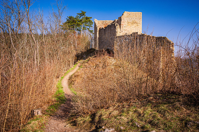 Ruine der Lobdeburg | Die Ruine der Lobdeburg in Jena im Frühling, Jena, Thüringen, Deutschland - Realisiert mit Pictrs.com