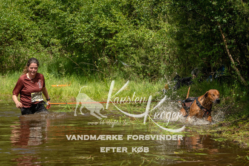 1238DKK993251 | kk-dogfotos