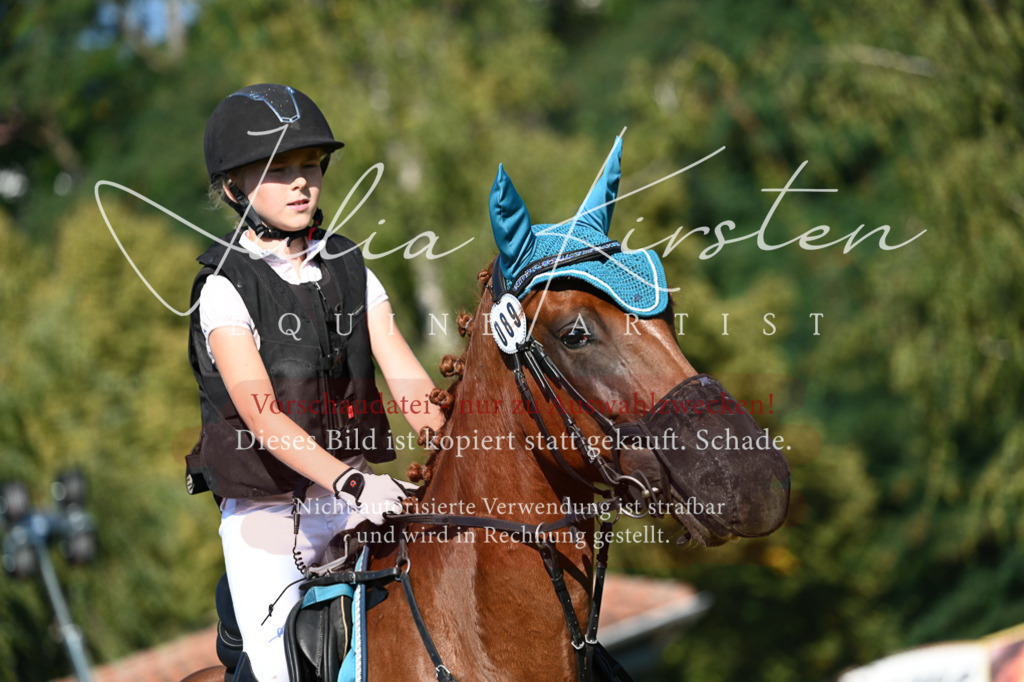 DSC_5319 | Pferde- und Turnierfotografie in Westsachsen. Pferdeportraits, Auftragszeichnungen und intuitive Kunst.