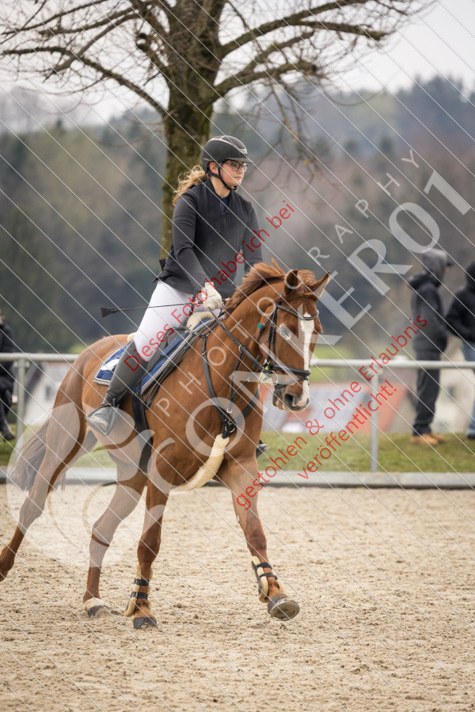 CON_1345 | Sport-, Event- und Tierfotos in Profiqualität. Einfach auswählen, bestellen und herunterladen. Dein Moment – perfekt festgehalten.