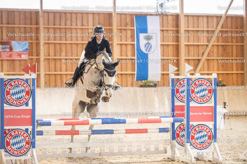 _D5A7990 | Emotionale Pferde- & People-Fotografie rund um Heidelberg, Leimen & Umgebung. Natürliche Fotos von Pferd, Mensch & Familie. Jetzt Termin sichern!