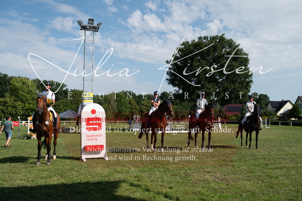 DSC_1033 | Pferde- und Turnierfotografie in Westsachsen. Pferdeportraits, Auftragszeichnungen und intuitive Kunst.