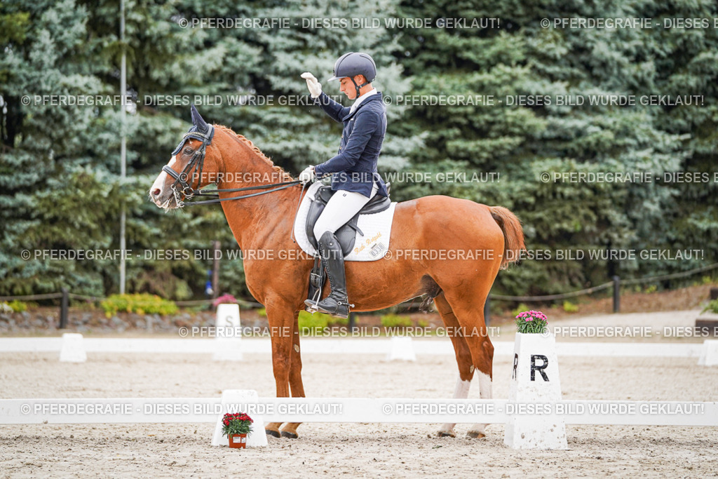 DSC08354 | Pferdegrafie