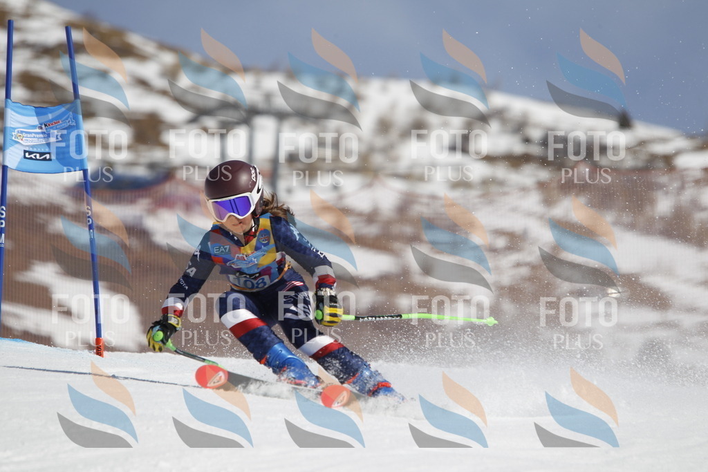 _U3G0451 | holidayphoto