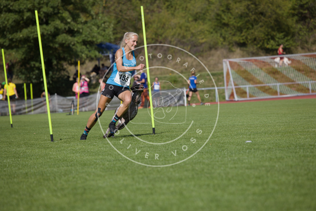 0L8A3199 | Hundefotografie, Tierfotograf, Pfotenfotografie, Fotoshooting Hund, Hunde Portrait, Hundesport, Hundeportraits, Heideshooting, Hunde, Sportfotograf, Hundefotograf, Turnierhundsport, THS,  - Realisiert mit Pictrs.com