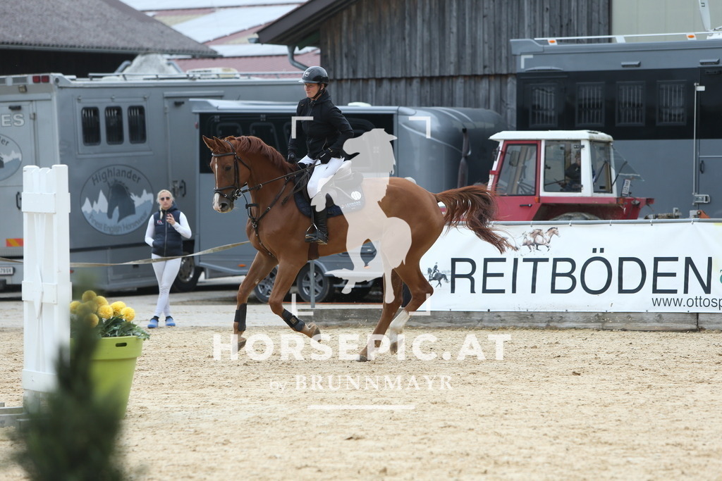 DL2Q1384 | Willkommen bei Brunnmayr - Design & Fotografie – Ihrem Spezialisten für Reitturniere und Pferdeveranstaltungen in Oberösterreich, Salzburg und Bayern! Seit über 17 Jahren sind wir leidenschaftlich dabei.