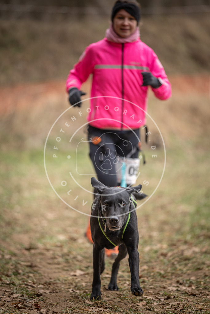 Pfotenfotografie_DV3A7481 | Hundefotografie, Tierfotograf, Pfotenfotografie, Fotoshooting Hund, Hunde Portrait, Hundesport, Hundeportraits, Heideshooting, Hunde, Sportfotograf, Hundefotograf, Turnierhundsport, THS,  - Realisiert mit Pictrs.com