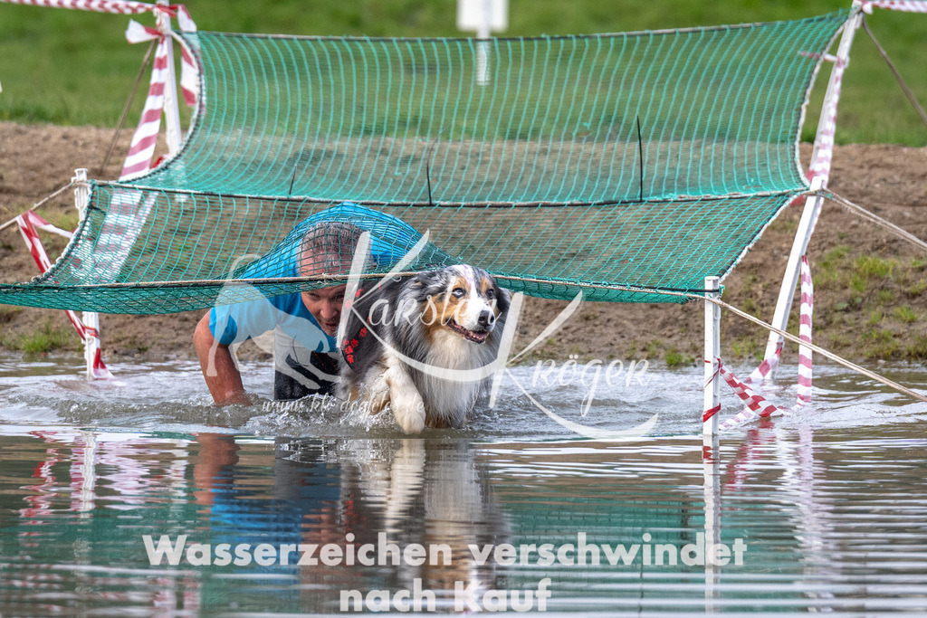 0855_ZZ93339 | kk-dogfotos