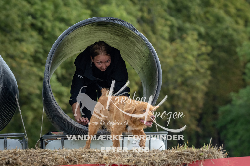 1036_ZZ92571 | kk-dogfotos
