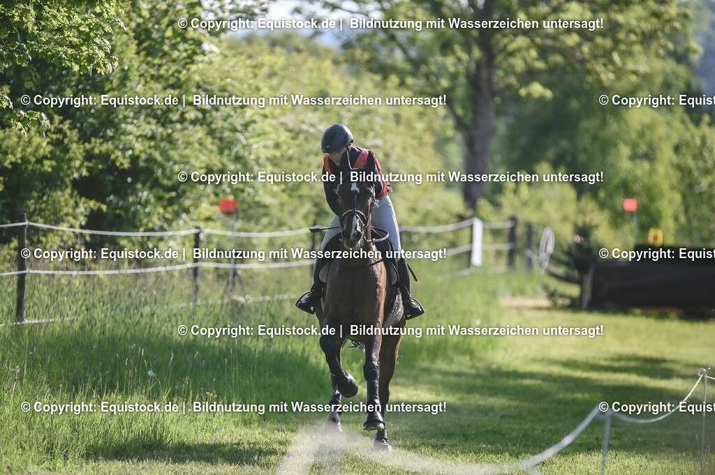 20250517_CCI2_Gelände_0178 | Foto: Thomas Hartig