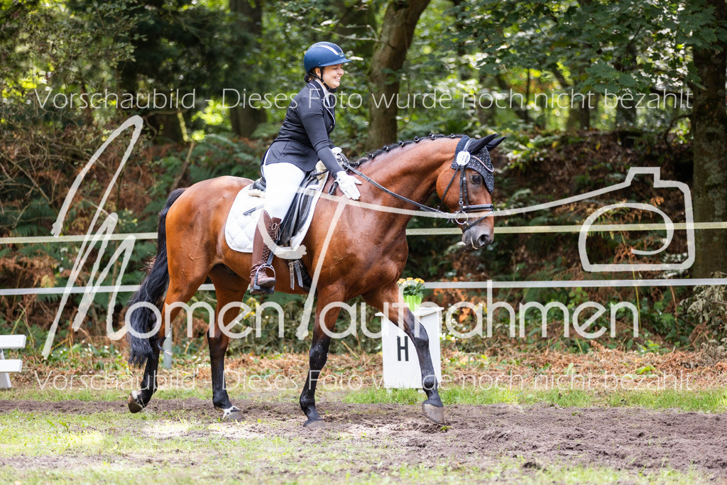 HB-Dressur-WB-133 | MomenTaufnahmen Pferdesportfotos