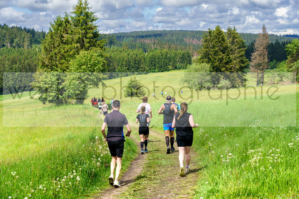 Rennsteiglauf Marathon 2024 | 25. Mai 2024 - 42,2 km von Neuhaus nach Schmiedefeld