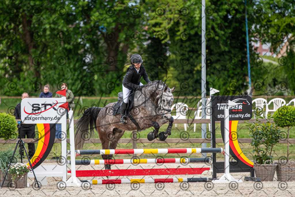 KPT_7264 | andre_photographic