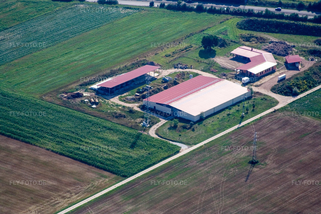 Luftbild: Hühnerhof Eierfarm in Erlenbach bei Kandel im Bundesland Rheinland-Pfalz in Deutschland. Foto: IMG_12568.jpg vom 17.08.2008 durch Werner Riehm/FLY-FOTO.de