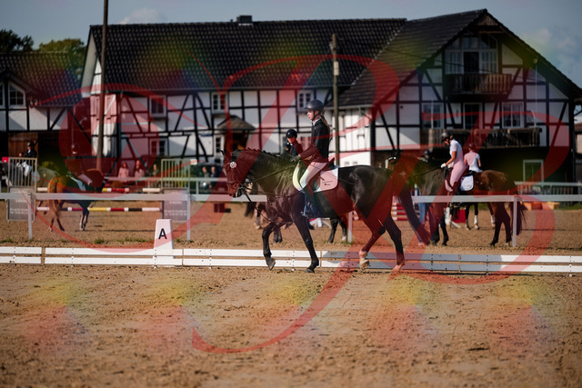 2026_10_03_Siefer-Hof_115453_Z63_30195275 | Professionelle Reitsport-, Turnier- und Eventfotografie von Robert Broda. Galerien mit ausgewählten und bearbeiteten Bildern direkt online ansehen und bestellen.