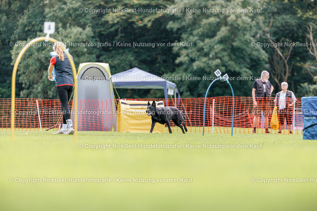 BSP Hoopers-H2-2026-Nickbest-Hundefotografie-TuS Komet Arsten e.V.-6519 | Dein Hund! Dein Moment! Deine Erinnerungen! Hundefotografie in Bremen Blumenthal. Ich fange die besonderen Momente deines Vierbeiners ein – ob Indoor mit Blitzanlage oder in der freien Natur. Sicher dir dein Moment und dein Termin für eure Erinnerungen.