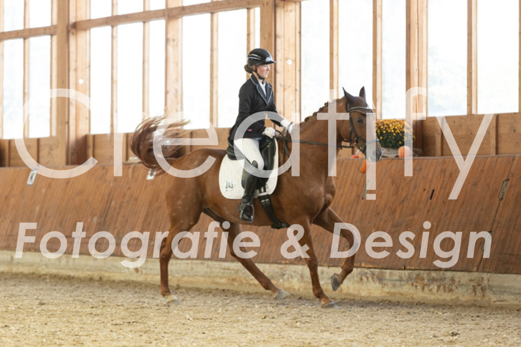 IMG_1631 | Creatify Fotografie