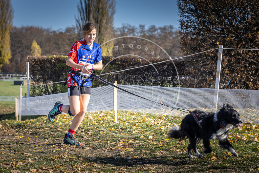 CaniXpix_DV3A8784 | Hundefotografie, Tierfotograf, Pfotenfotografie, Fotoshooting Hund, Hunde Portrait, Hundesport, Hundeportraits, Heideshooting, Hunde, Sportfotograf, Hundefotograf, Turnierhundsport, THS,  - Realisiert mit Pictrs.com