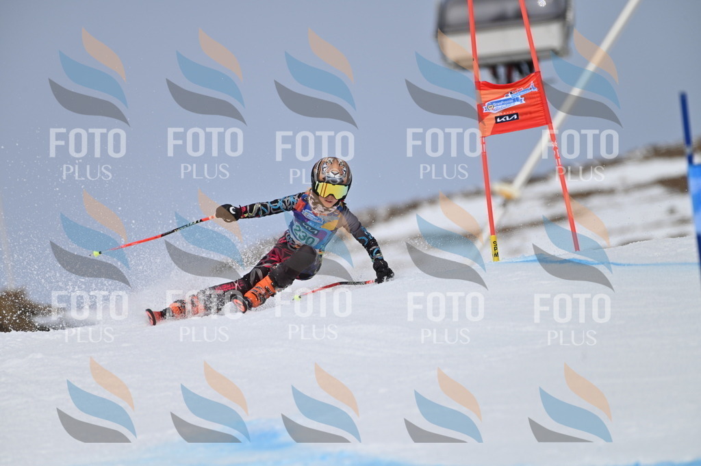 BGV_4542 | holidayphoto