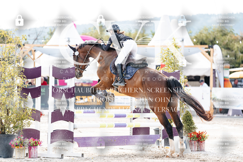 CK906366 | Turnierfotografie Pferdefotografie Trier Rheinland-Pfalz Pferdesport Reitsport Tierfotografie Sportfotografie Pferdevideo Pferdevideografie Equestrianvideography equestrianphotography  - Realisiert mit Pictrs.com