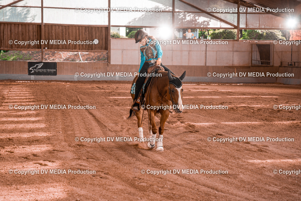 NE201154 | dv-media-shop - Realisiert mit Pictrs.com