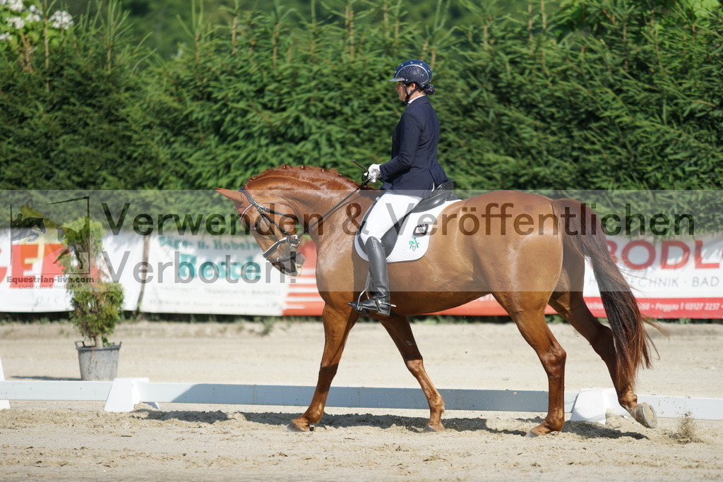 DSC04487 | equestrian-live-com
