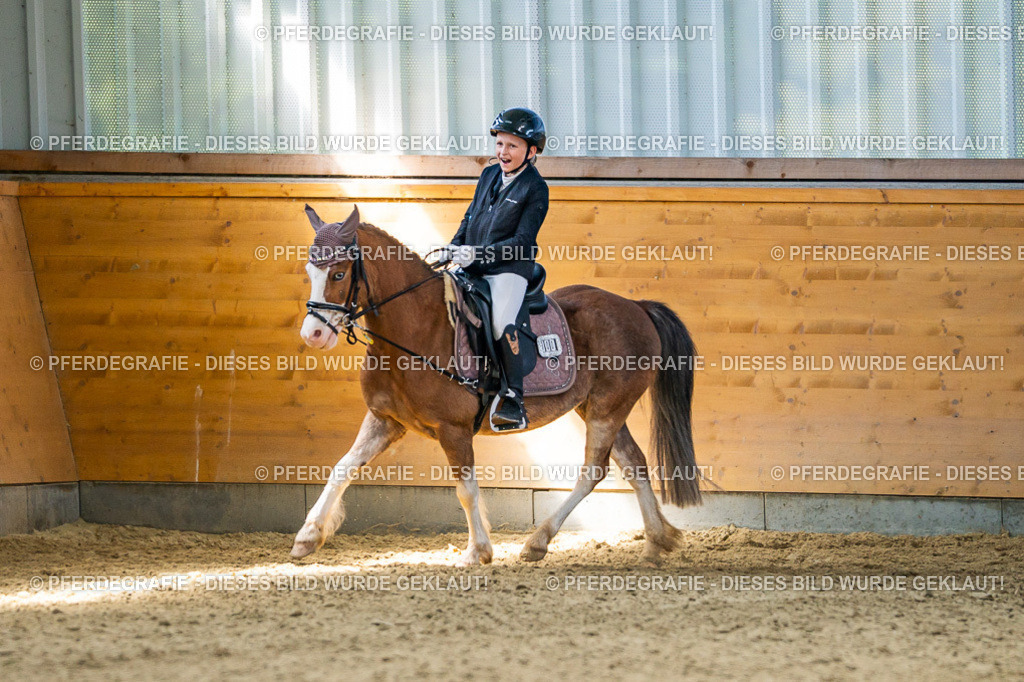 DSC03020 | Pferdegrafie