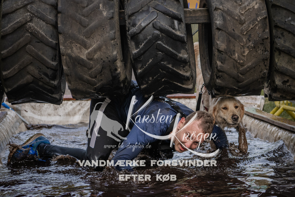 1458_ZZ90785 | kk-dogfotos