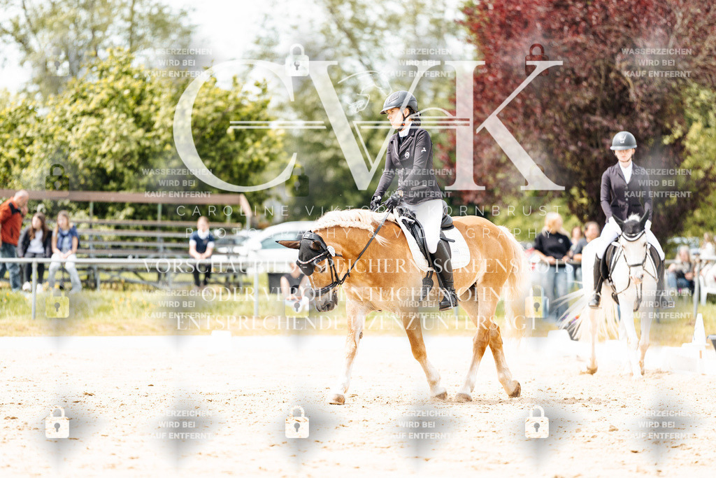 CK902192 | Turnierfotografie Pferdefotografie Trier Rheinland-Pfalz Pferdesport Reitsport Tierfotografie Sportfotografie Pferdevideo Pferdevideografie Equestrianvideography equestrianphotography  - Realisiert mit Pictrs.com