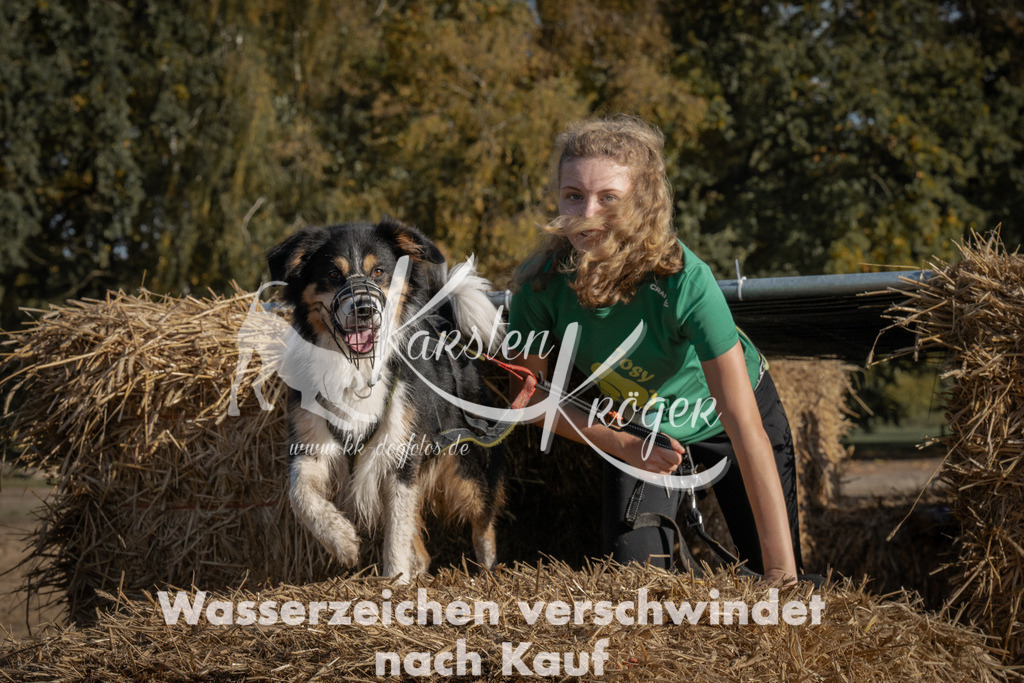 1055_ZZ99572 | kk-dogfotos