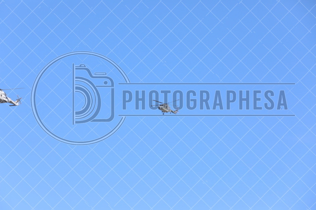 IMG_8841 | photographesa-joergens - Realisiert mit Pictrs.com