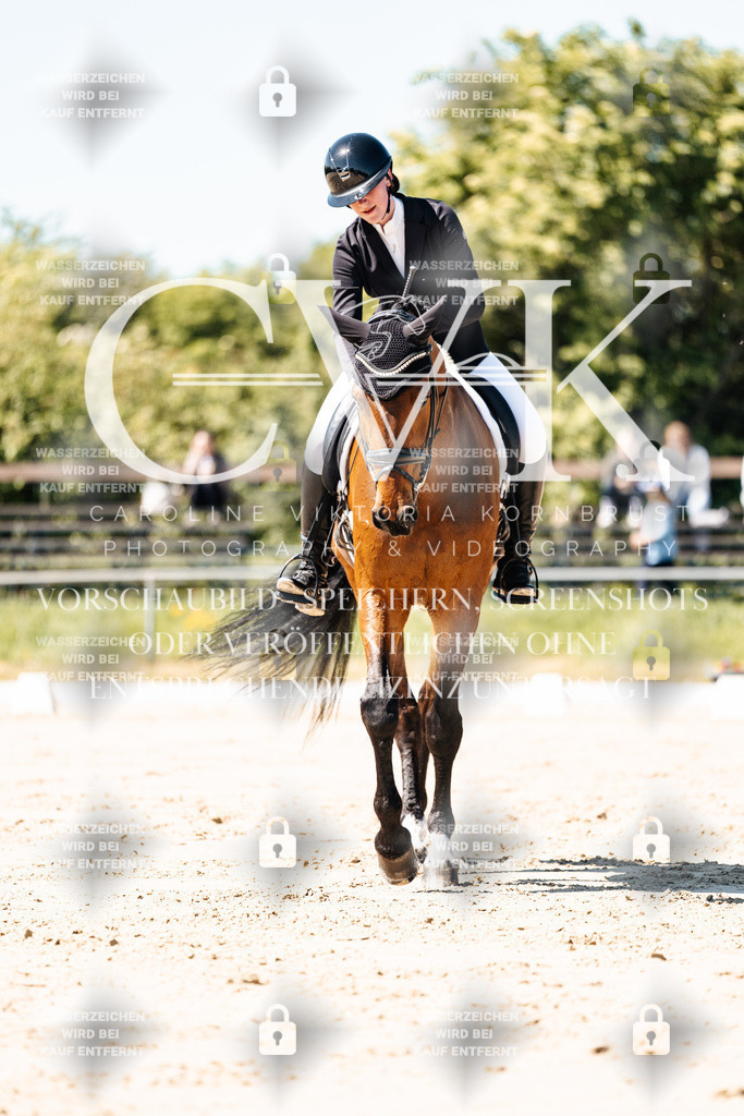 CK905253 | Turnierfotografie Pferdefotografie Trier Rheinland-Pfalz Pferdesport Reitsport Tierfotografie Sportfotografie Pferdevideo Pferdevideografie Equestrianvideography equestrianphotography  - Realisiert mit Pictrs.com