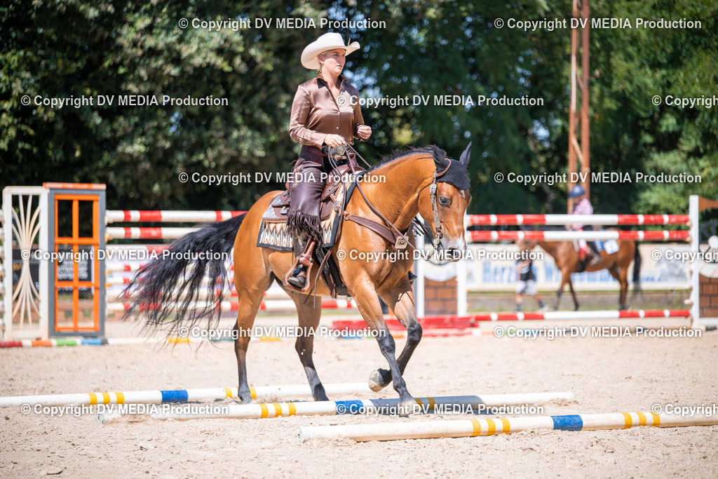 ZS1_1399 | dv-media-shop - Realisiert mit Pictrs.com