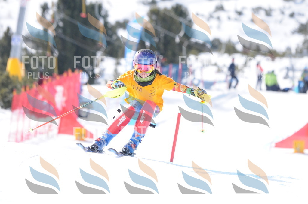 C7397 | holidayphoto