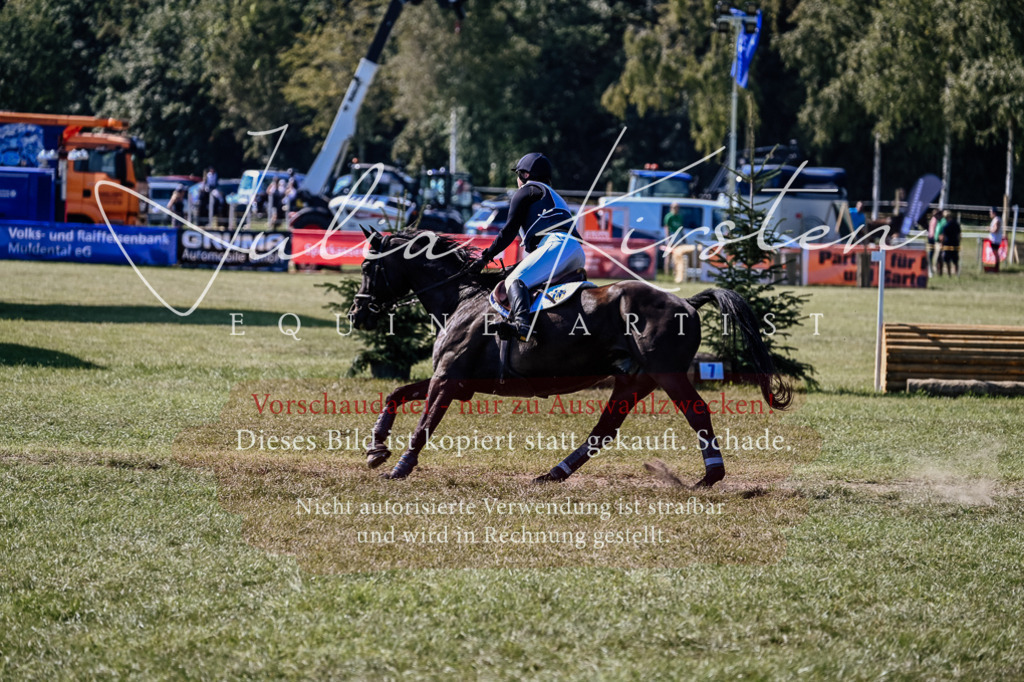 DSC_1611 | Pferde- und Turnierfotografie in Westsachsen. Pferdeportraits, Auftragszeichnungen und intuitive Kunst.