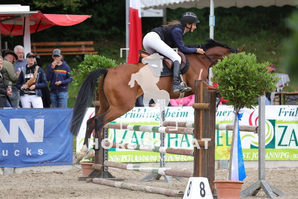 0P6A2624 | Willkommen bei Brunnmayr - Design & Fotografie – Ihrem Spezialisten für Reitturniere und Pferdeveranstaltungen in Oberösterreich, Salzburg und Bayern! Seit über 17 Jahren sind wir leidenschaftlich dabei.