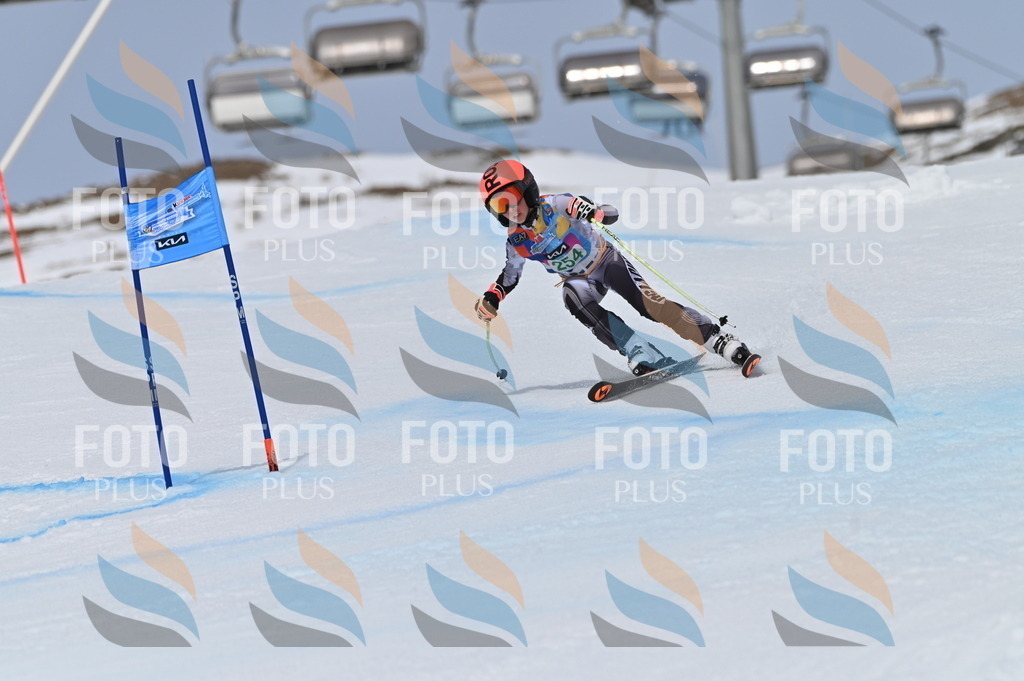 BGV_5032 | holidayphoto