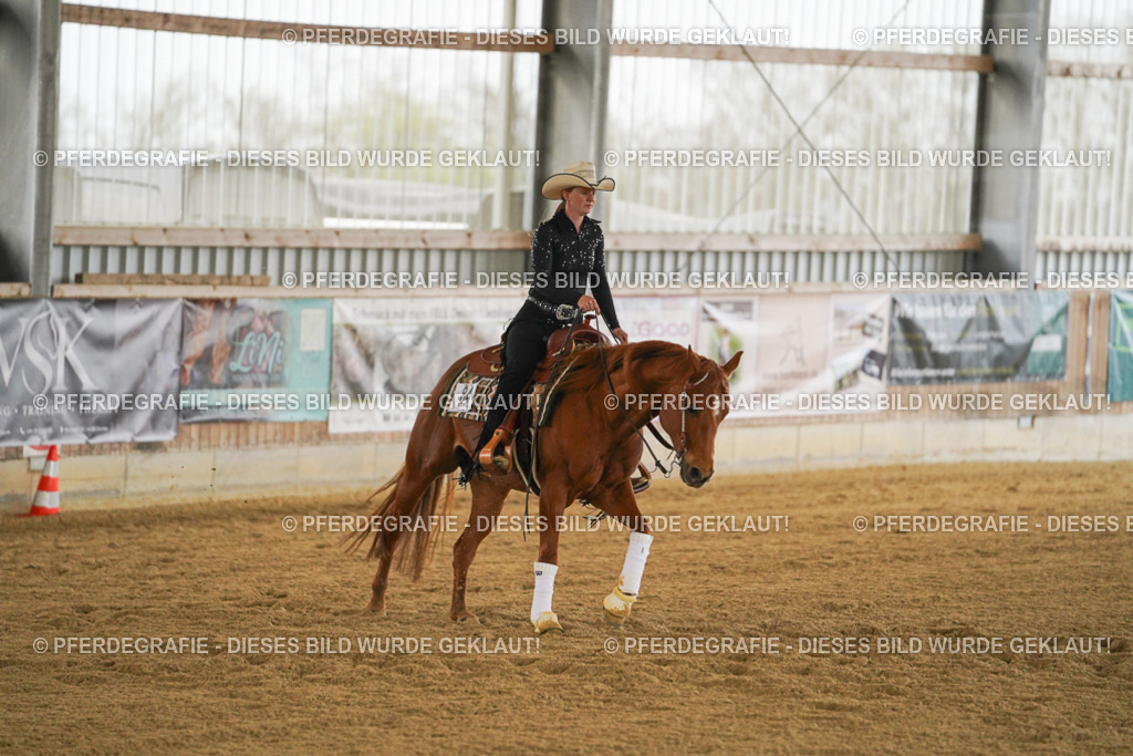 DSC08034 | Pferdegrafie