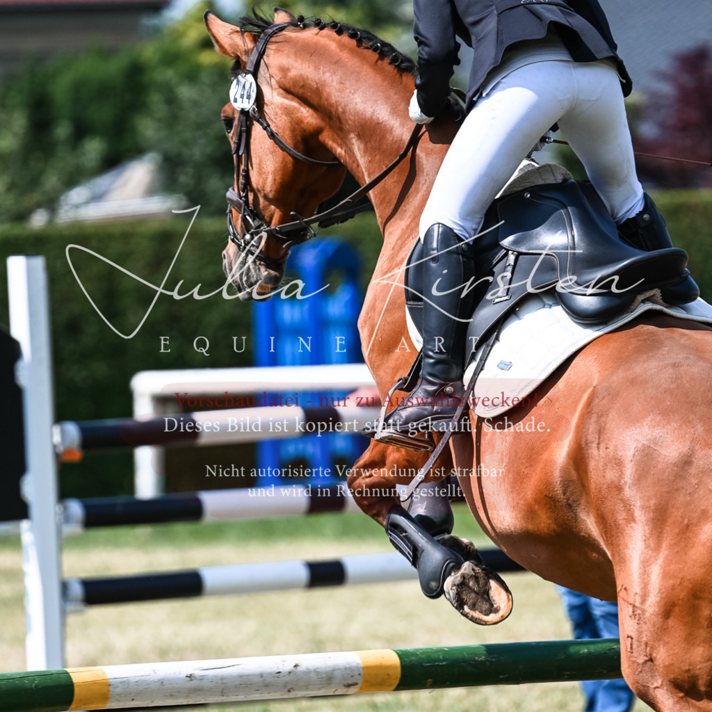 DSC_8677 | Pferde- und Turnierfotografie in Westsachsen. Pferdeportraits, Auftragszeichnungen und intuitive Kunst.