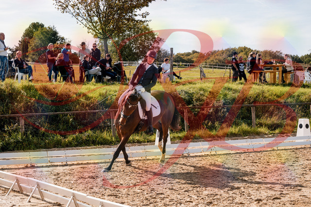 2026_10_03_Siefer-Hof_125627_Z63_63818581 | Professionelle Reitsport-, Turnier- und Eventfotografie von Robert Broda. Galerien mit ausgewählten und bearbeiteten Bildern direkt online ansehen und bestellen.