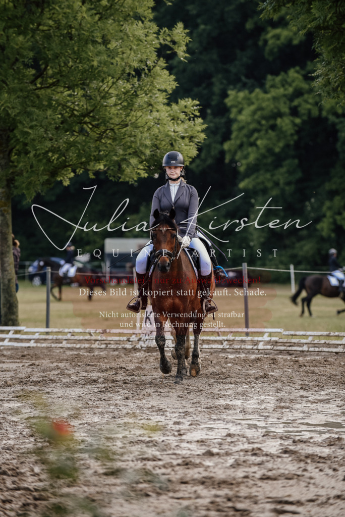 DSC_8310 | Pferde- und Turnierfotografie in Westsachsen. Pferdeportraits, Auftragszeichnungen und intuitive Kunst.