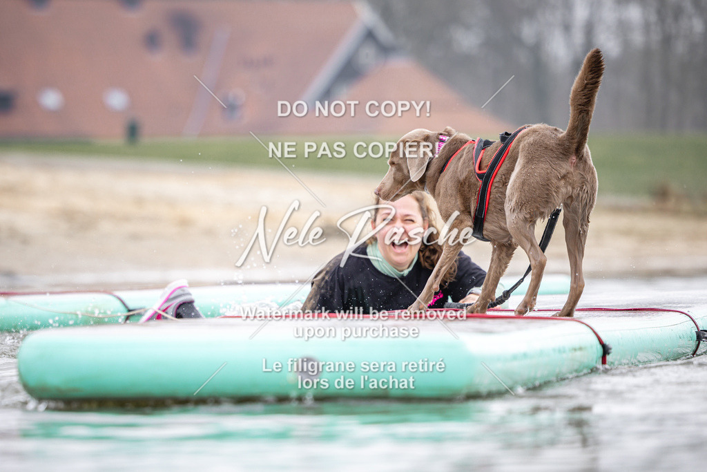 nelerasche_Hulsbeek_Sa1100-1130_337 | nelerasche
