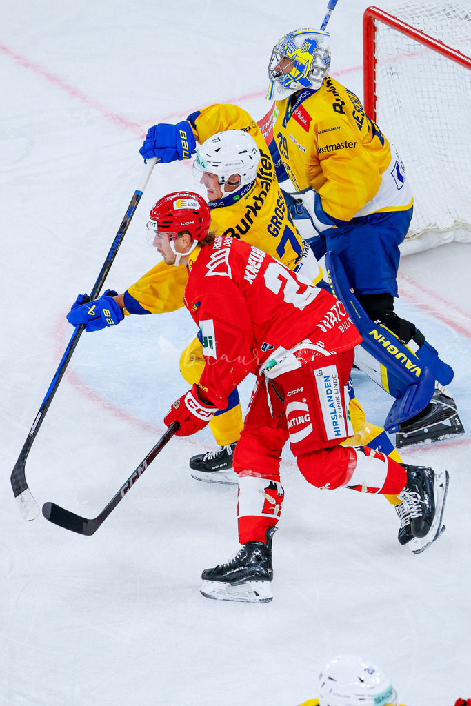 09112025_EHCB vs HCD_wb-1268 | Sportbilder, Sportfotograf, Hochzeits- und Eventfotografin, Flugshows, Portraits und Tiershooting, Aviation, Downhill, Nationalleague, Swissleague, International
