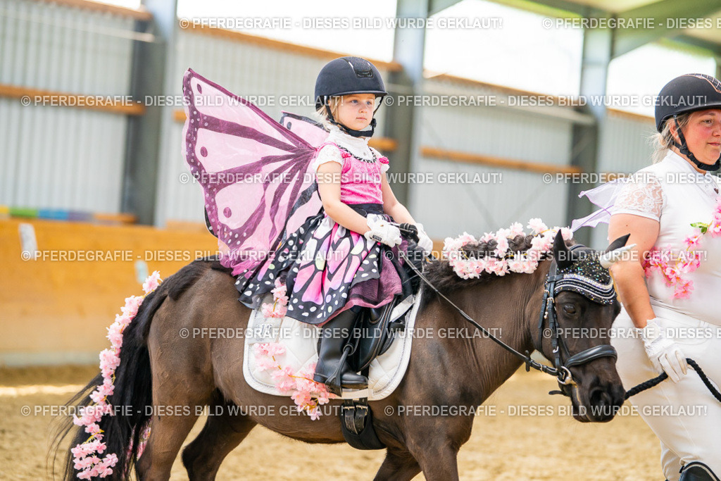 DSC09861 | Pferdegrafie