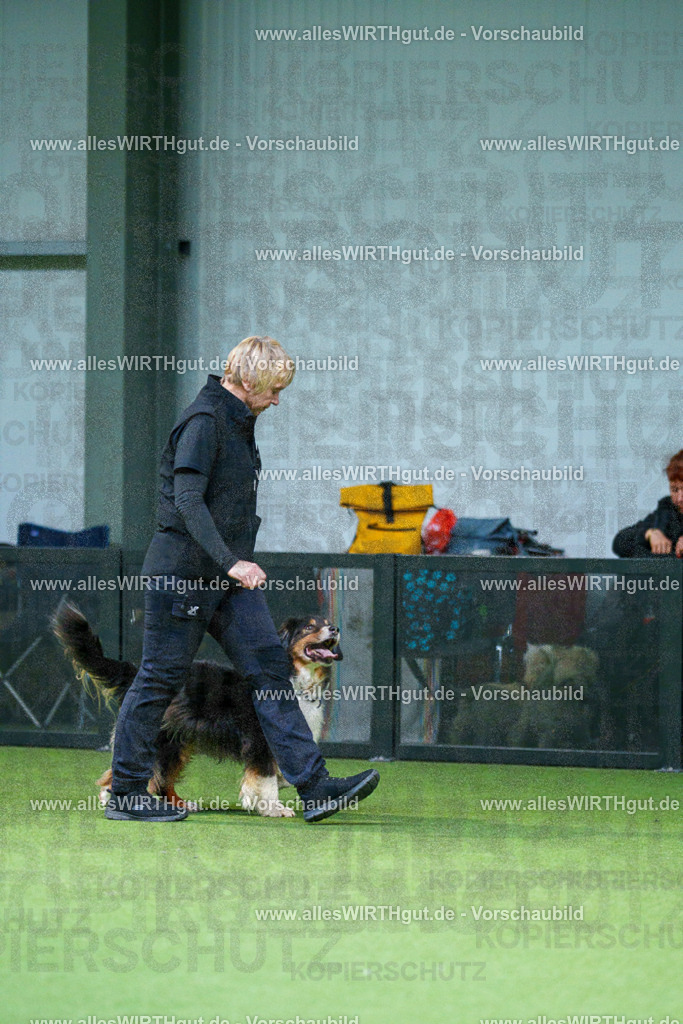 7R506079 | Professionelle Tierfotografie in Mönchengladbach von Daniel Wirth (allesWIRTHgut). Liebevolle & natürliche Bilder von Hunden & Katzen für unvergessliche Erinnerungen.